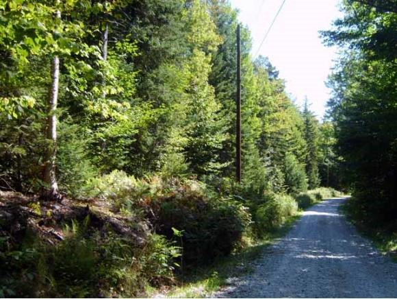 Patch Hill Road Mt Holly, VT 05758 - Photo 1 of 1