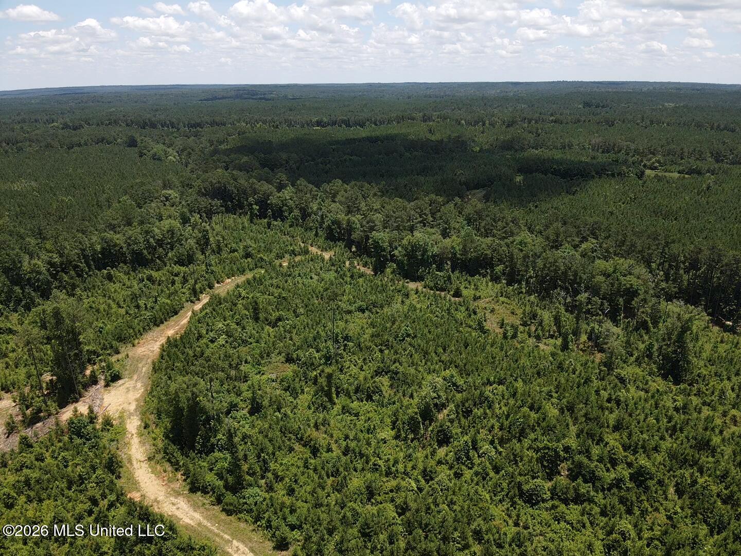 Stump Road Crosby, MS 39633 - Photo 18 of 60 2026-06-09-12-57-55-491