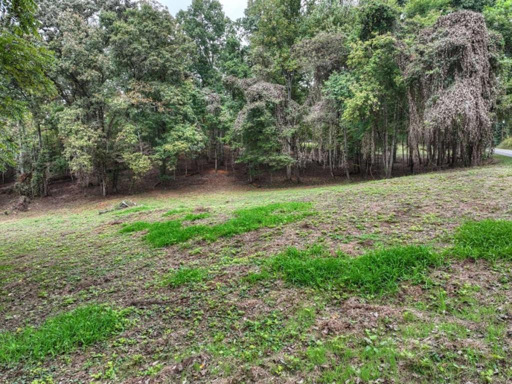 2 Davis Road Blue Ridge, GA 30513 - Photo 5 of 19 Gallery Image 5