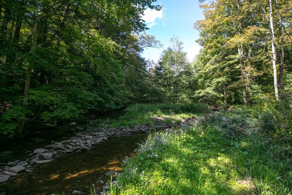 91 South Elk Run Road Wellsboro, PA 16901 - Photo 72 of 75 Gallery Image 72