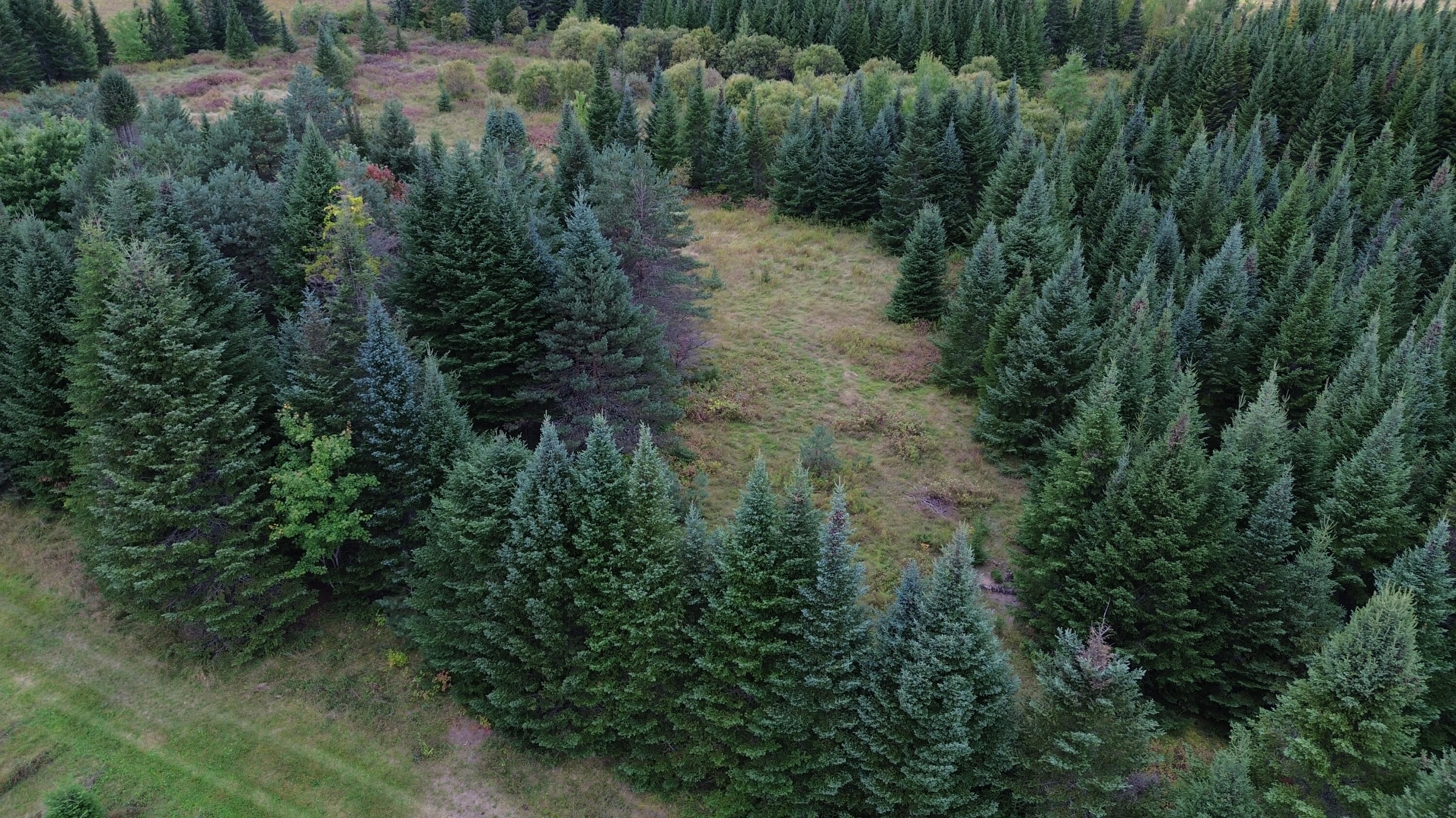 0 West Ridge Road Littleton, ME 04730 - Photo 23 of 25 DJI_0036