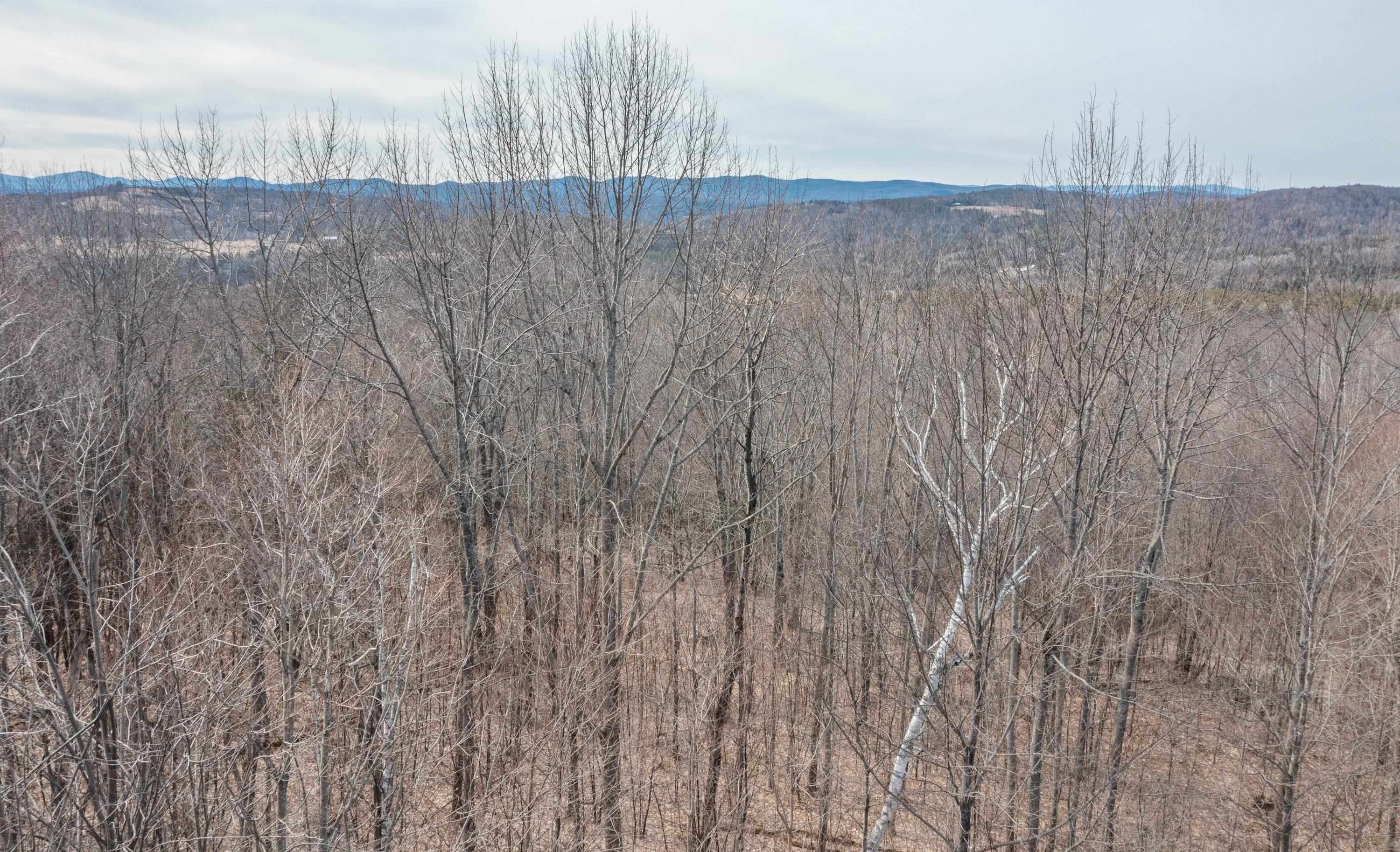 0 Ore Hill Road Sugar Hill, NH 03586 - Photo 15 of 26