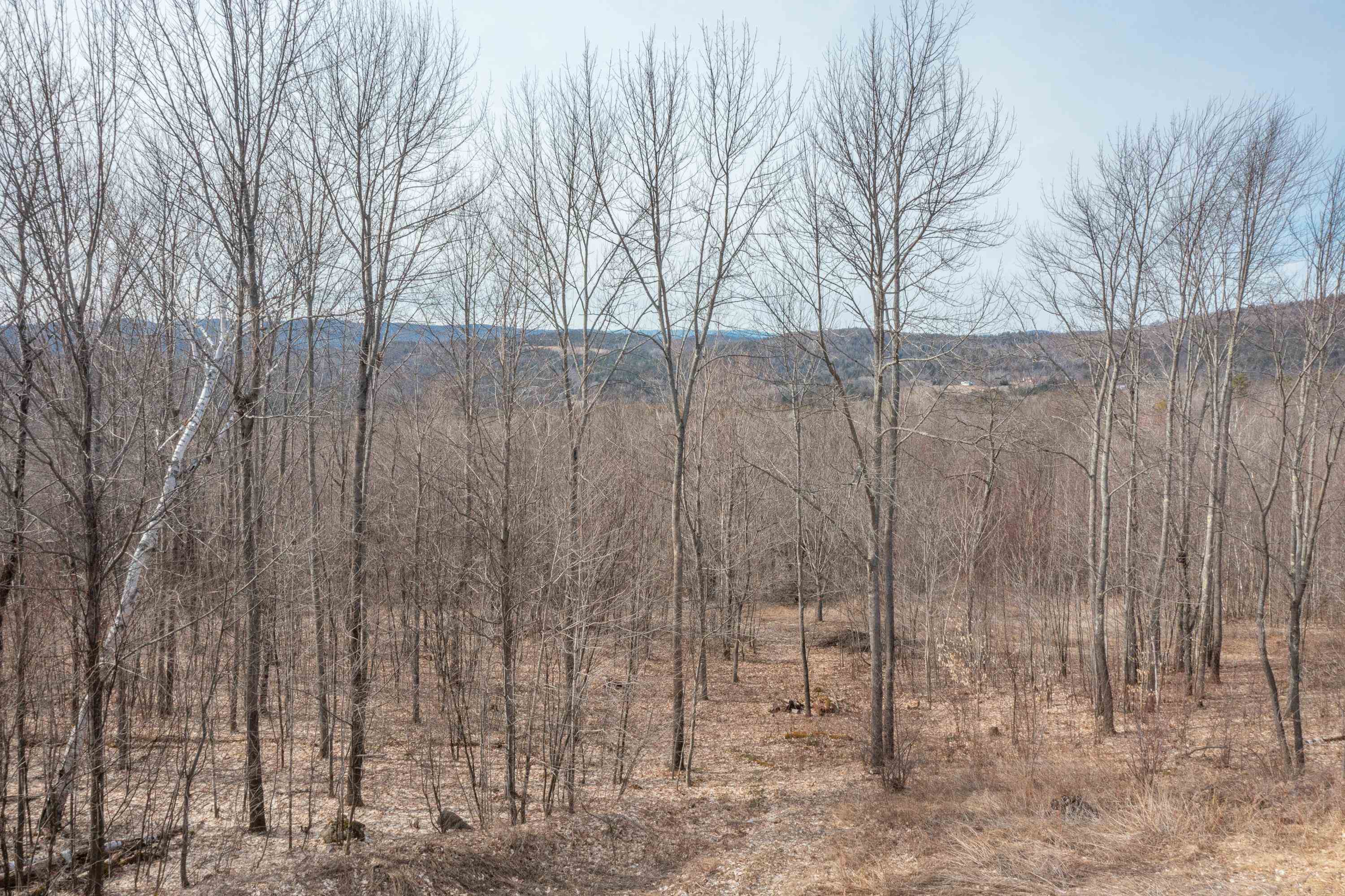 0 Ore Hill Road Sugar Hill, NH 03586 - Photo 21 of 26