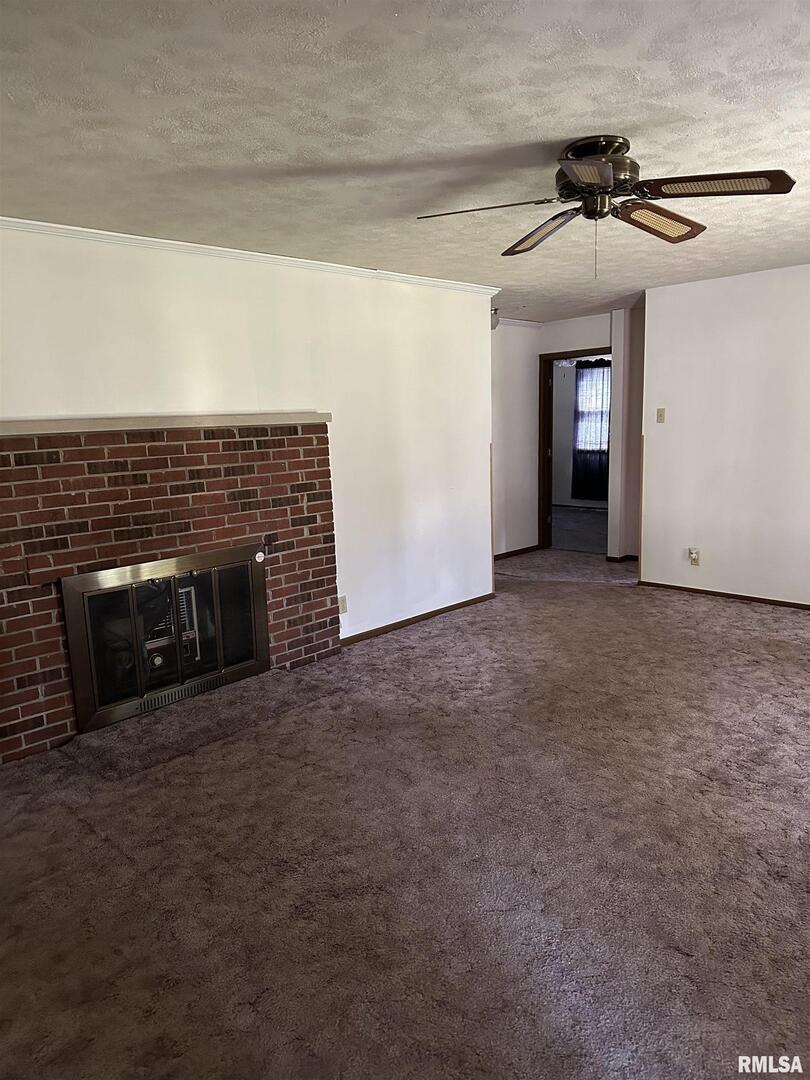7863 Idyle Wild Road Du Quoin, IL 62832 - Photo 6 of 18 a view of empty room with a fireplace
