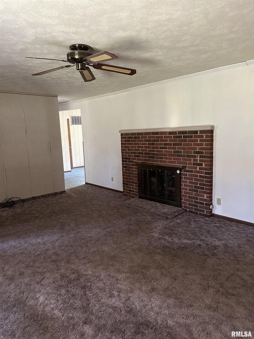 7863 Idyle Wild Road Du Quoin, IL 62832 - Photo 7 of 18 a view of empty room with a fireplace