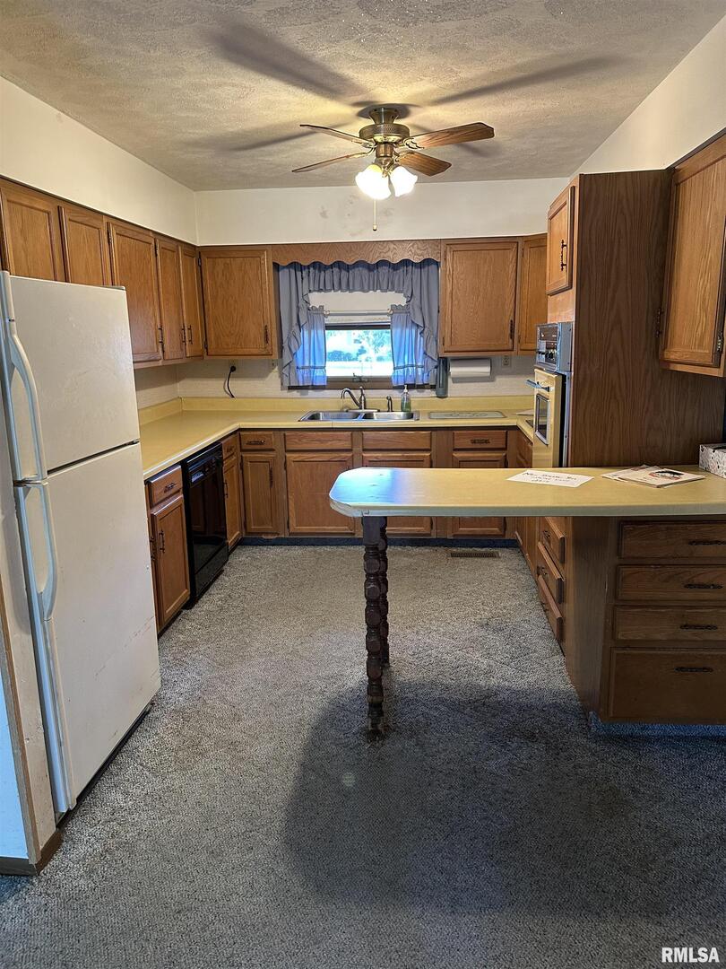 7863 Idyle Wild Road Du Quoin, IL 62832 - Photo 9 of 18 a kitchen with counter top space and appliances