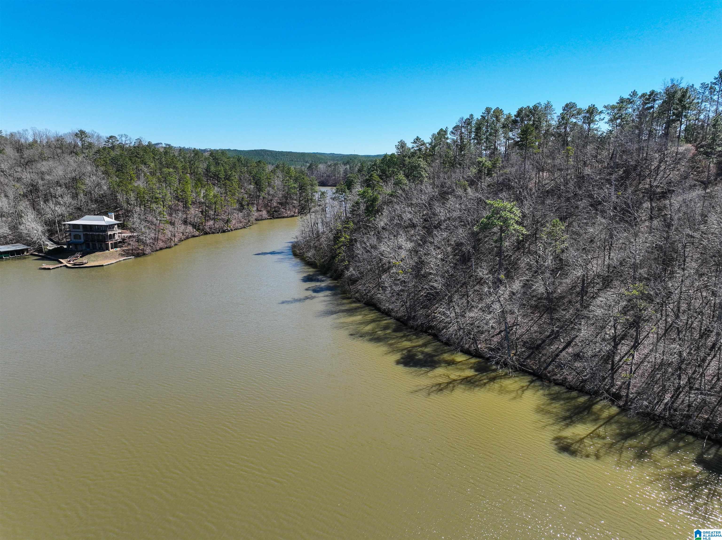 0 Preserve Road, Unit LOT 8 Rockford, AL 35136 - Photo 3 of 8