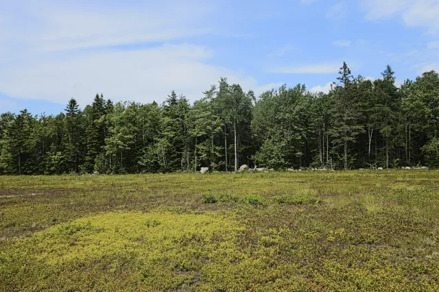 $299,000 | Map13-lot9 Martins Ridge Road, Franklin, ME 04634