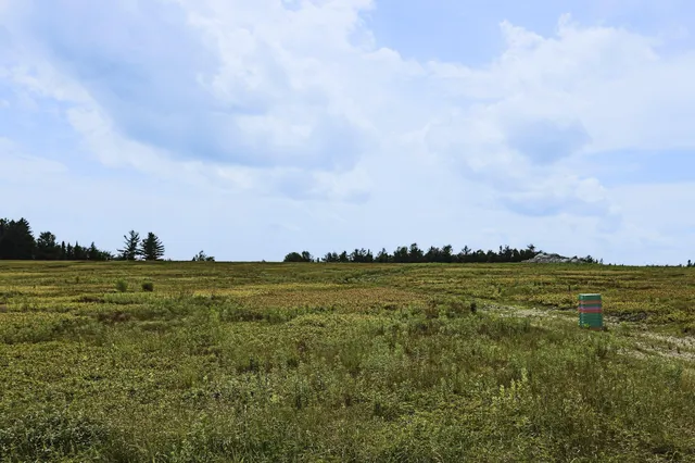 $299,000 | Map13-lot9 Martins Ridge Road, Franklin, ME 04634