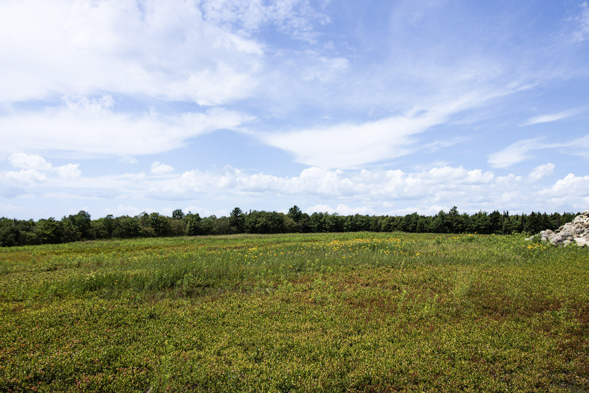Map13-lot9 Martins Ridge Road Franklin, ME 04634 - Photo 13 of 30 Lot 9