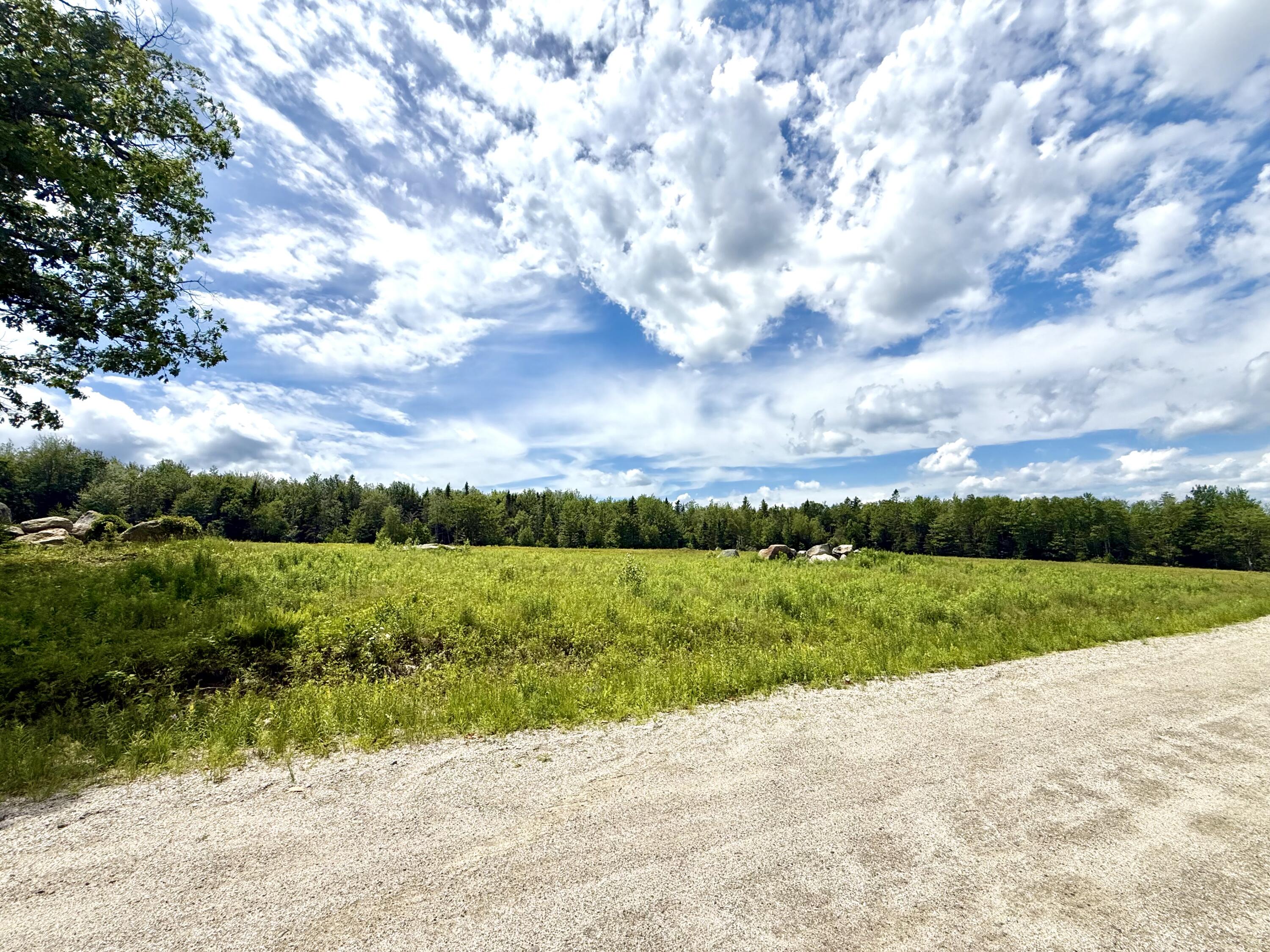 Map13-lot9 Martins Ridge Road Franklin, ME 04634 - Photo 14 of 30 Lot 9