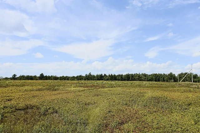 $299,000 | Map13-lot9 Martins Ridge Road, Franklin, ME 04634