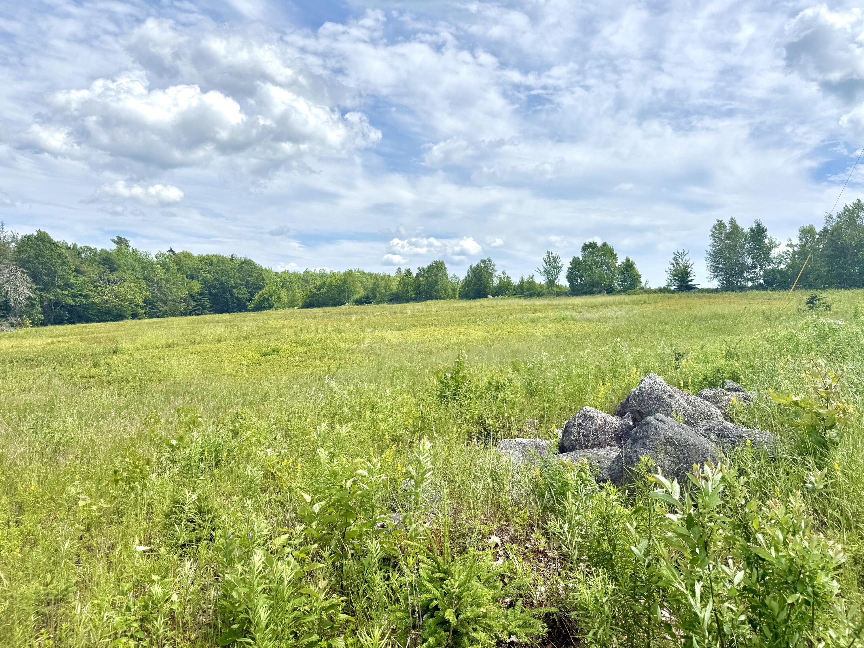 Map13-lot9 Martins Ridge Road Franklin, ME 04634 - Photo 17 of 30 Lot 9