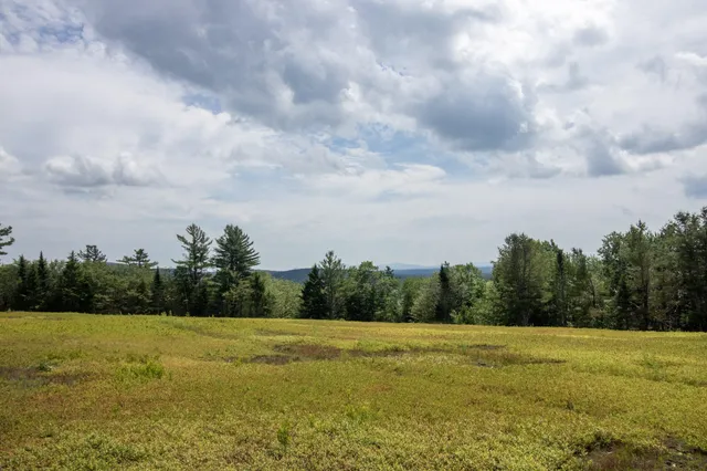 $299,000 | Map13-lot9 Martins Ridge Road, Franklin, ME 04634