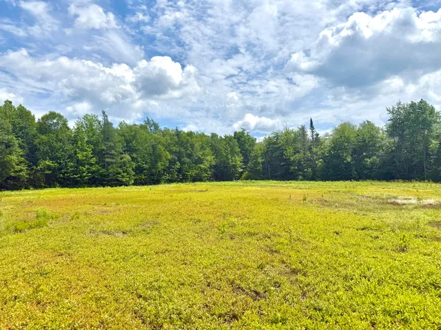 $299,000 | Map13-lot9 Martins Ridge Road, Franklin, ME 04634