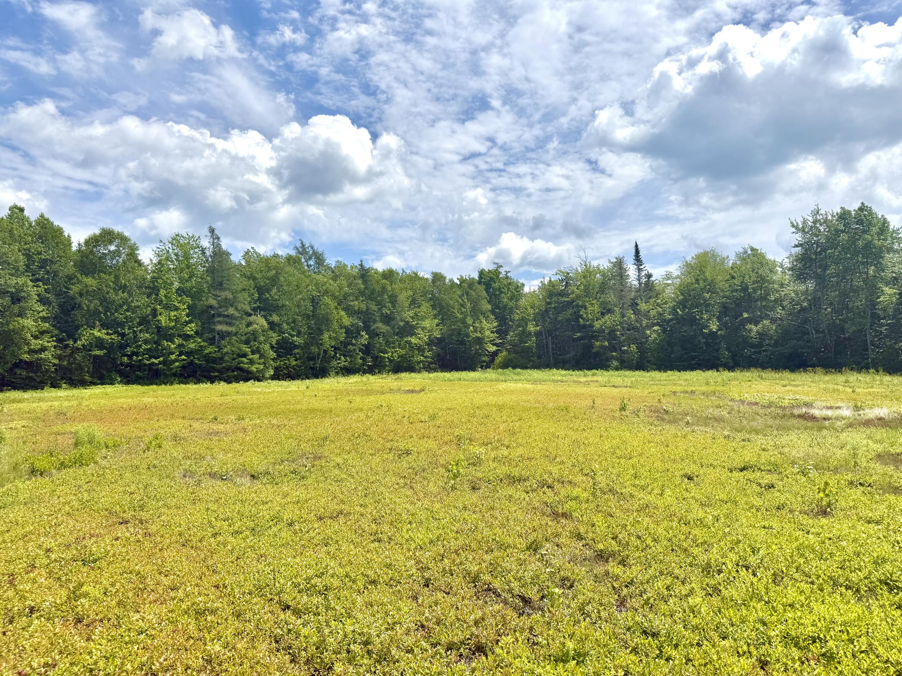 Map13-lot9 Martins Ridge Road Franklin, ME 04634 - Photo 20 of 30 Lot 9