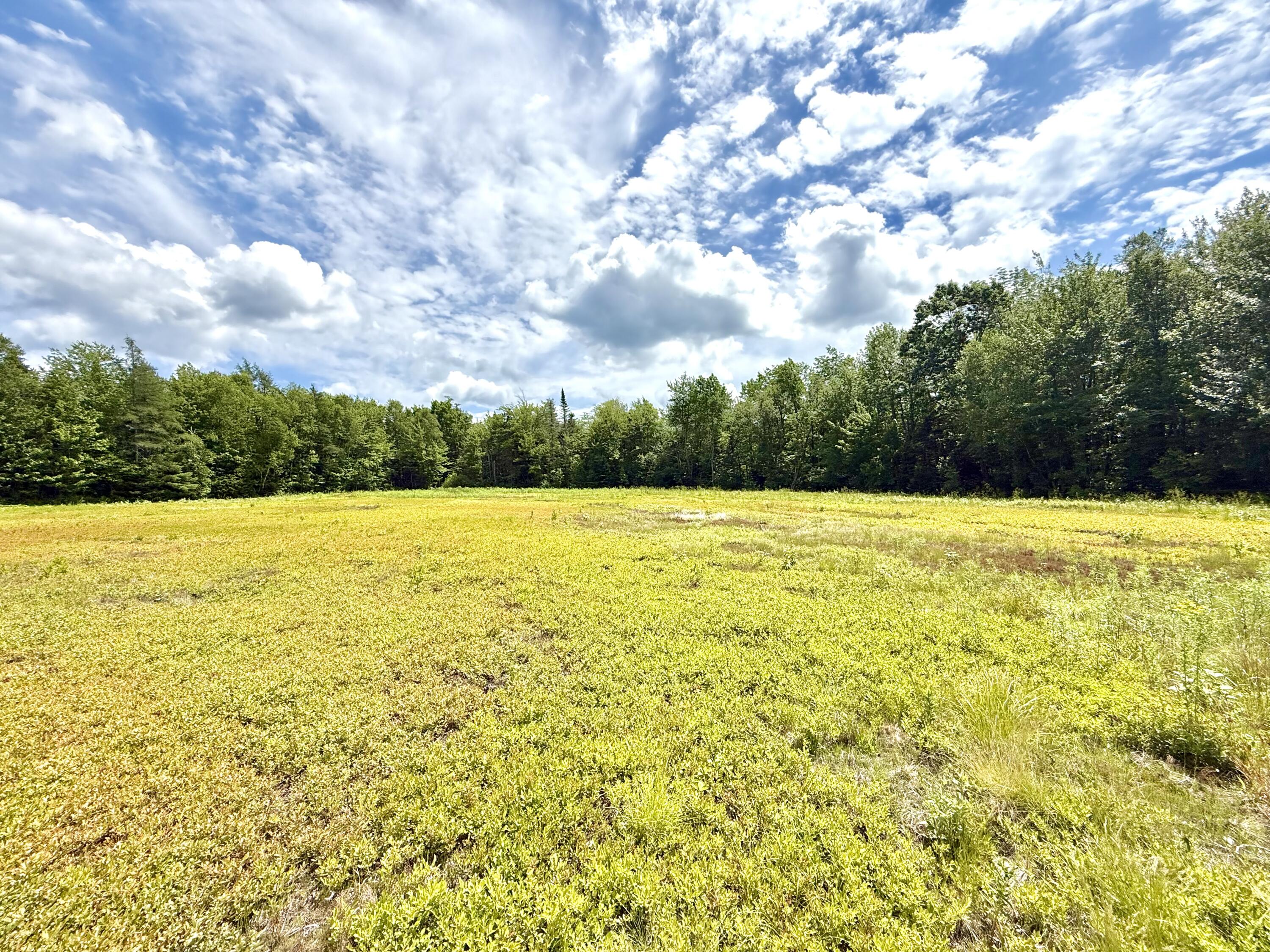 Map13-lot9 Martins Ridge Road Franklin, ME 04634 - Photo 21 of 30 Lot 9