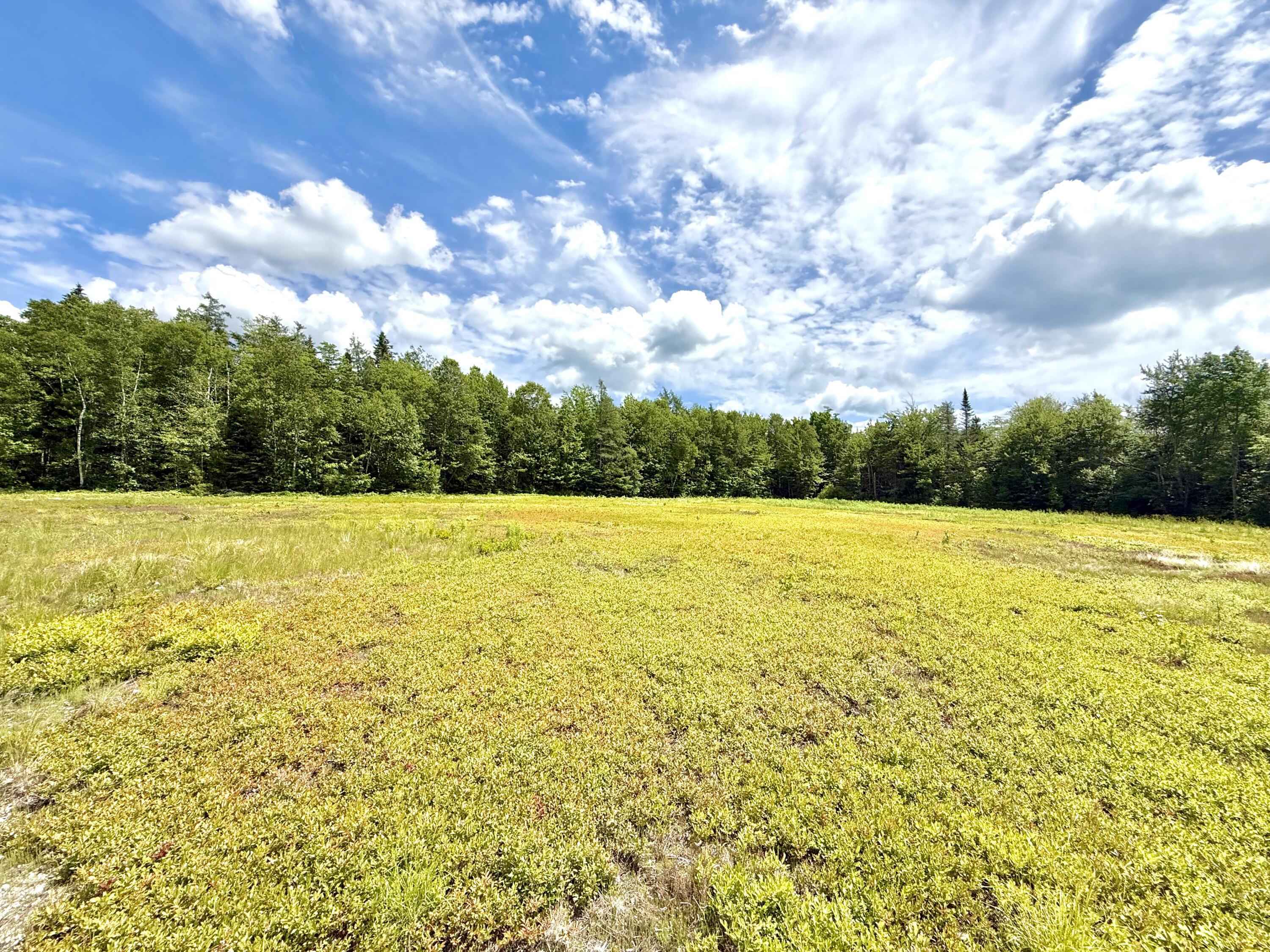 Map13-lot9 Martins Ridge Road Franklin, ME 04634 - Photo 22 of 30 Lot 9