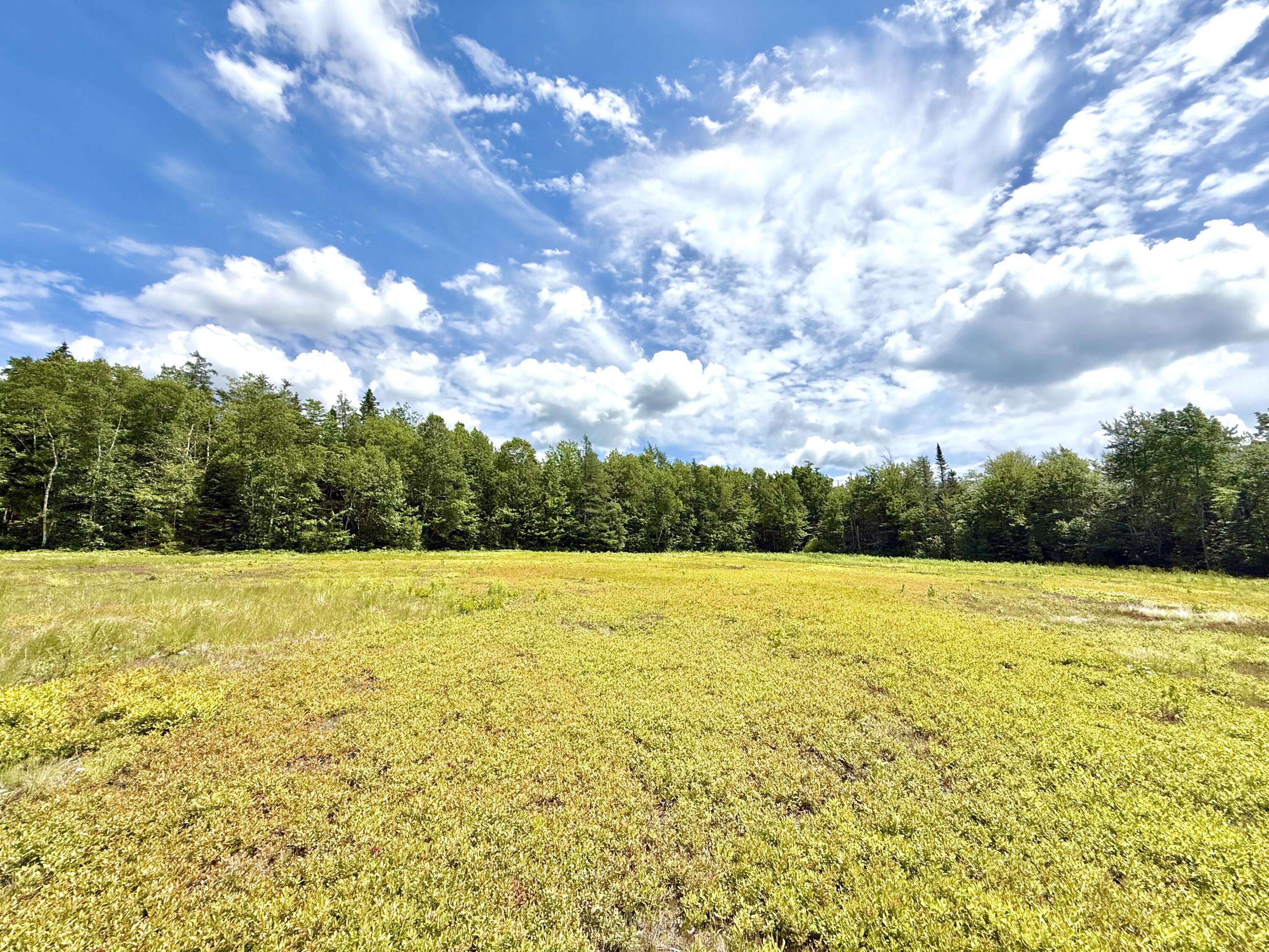 Map13-lot9 Martins Ridge Road Franklin, ME 04634 - Photo 23 of 30 Lot 9