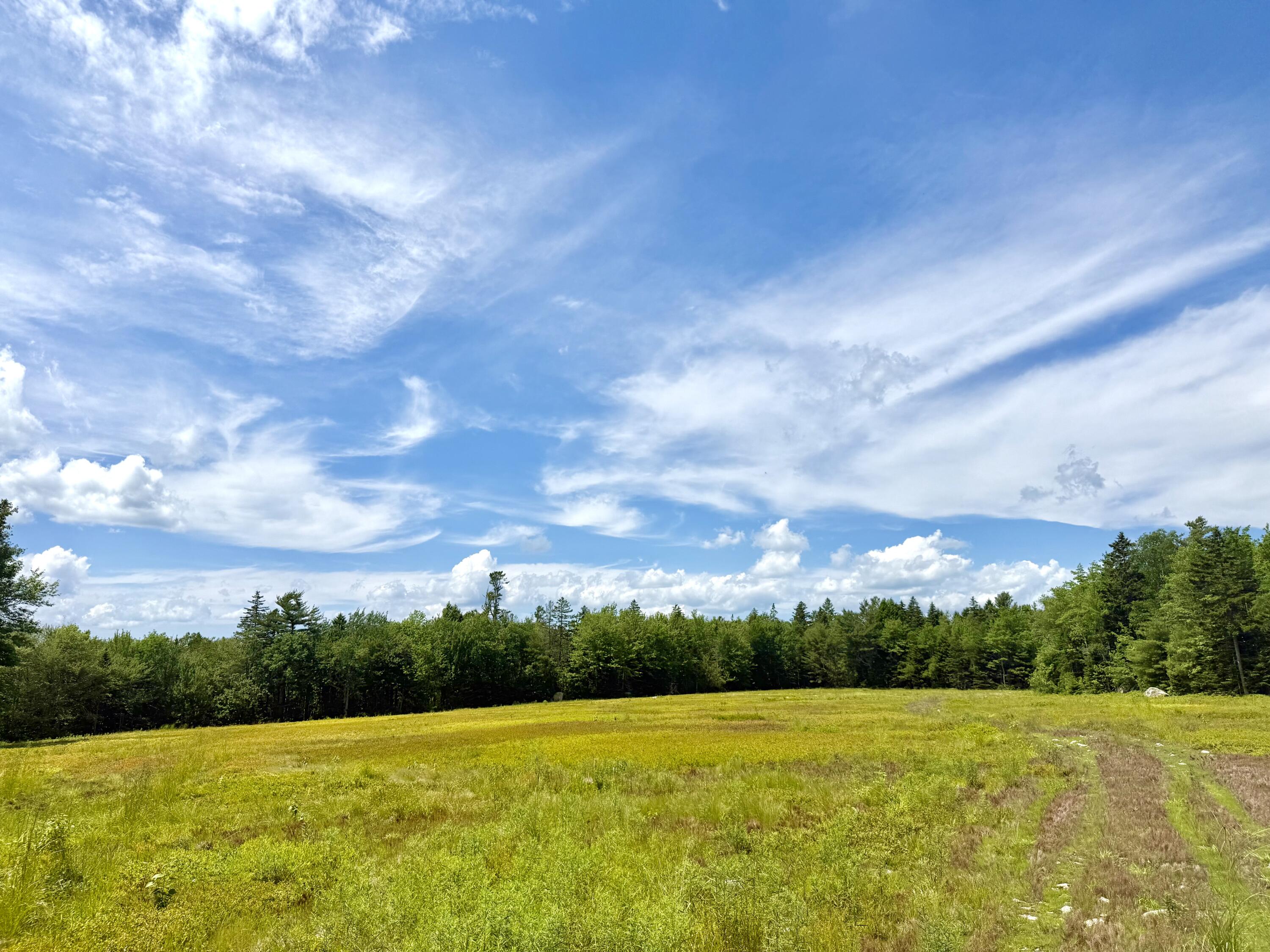 Map13-lot9 Martins Ridge Road Franklin, ME 04634 - Photo 24 of 30 Lot 9