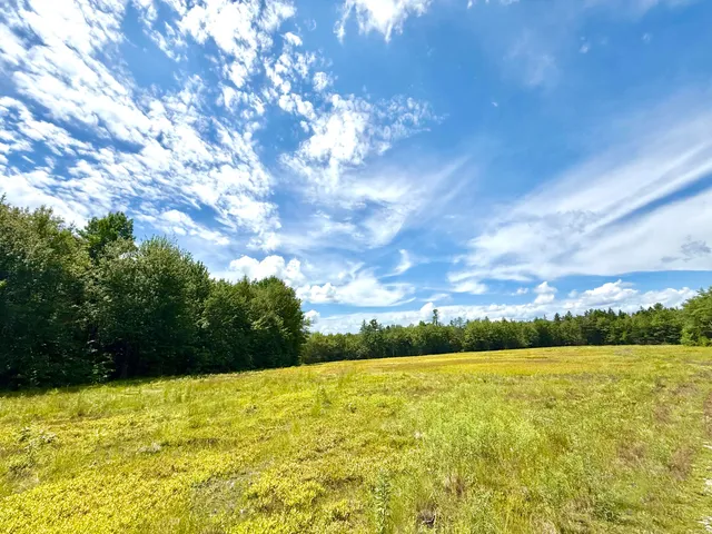$299,000 | Map13-lot9 Martins Ridge Road, Franklin, ME 04634