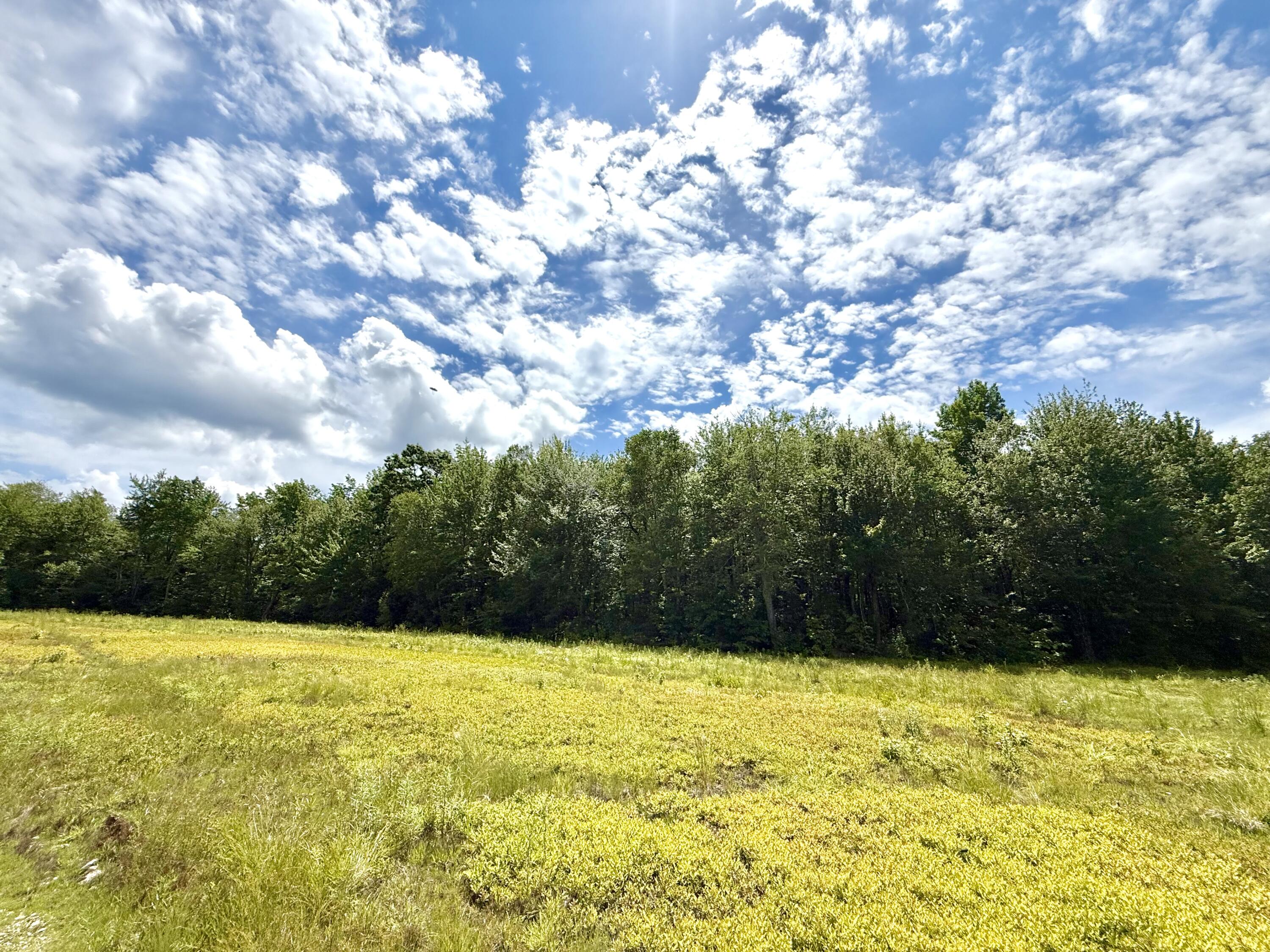 Map13-lot9 Martins Ridge Road Franklin, ME 04634 - Photo 28 of 30 IMG_8604