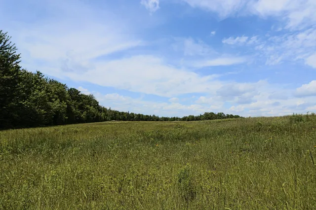 $299,000 | Map13-lot9 Martins Ridge Road, Franklin, ME 04634