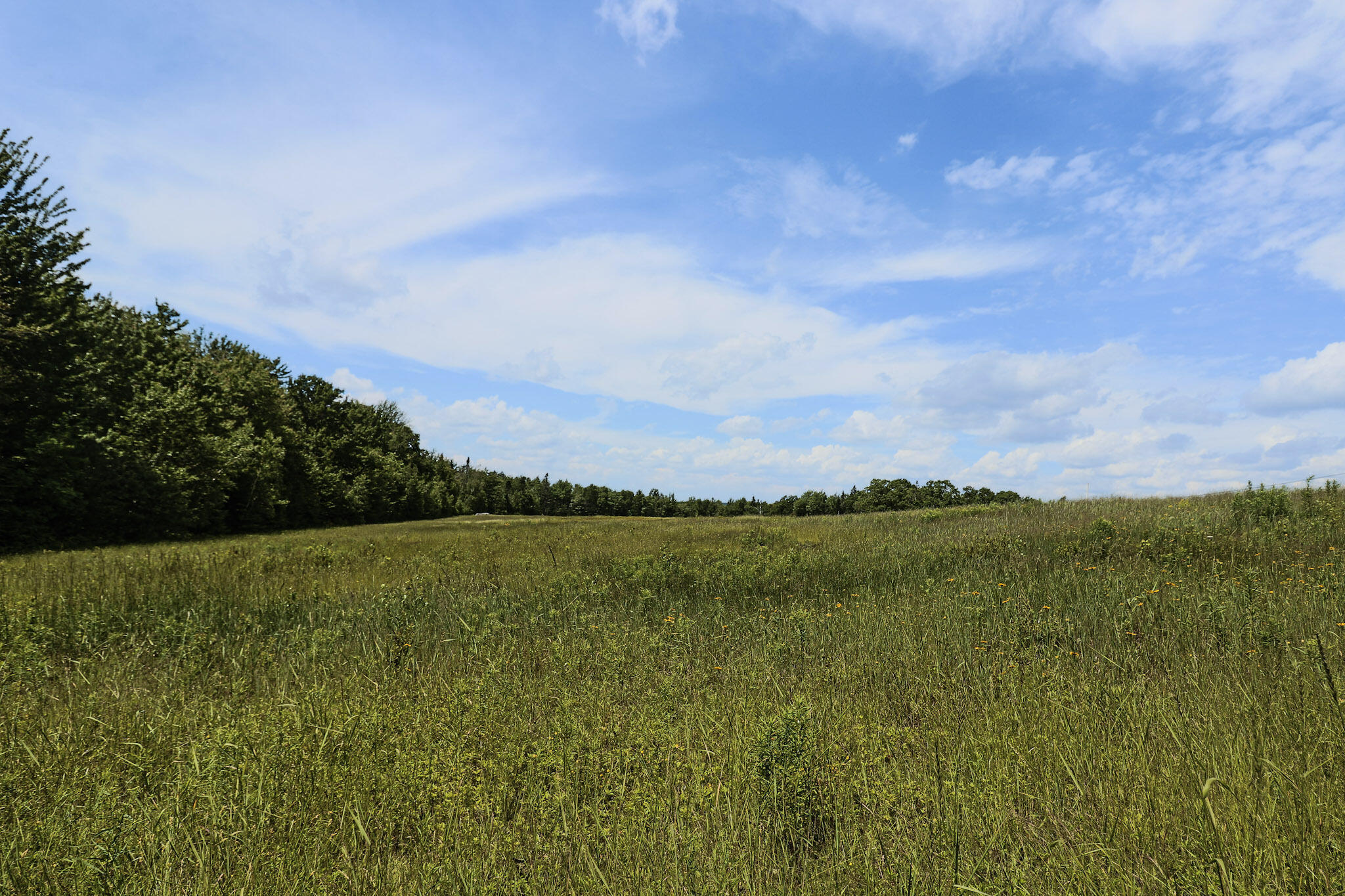 Map13-lot9 Martins Ridge Road Franklin, ME 04634 - Photo 5 of 30 Lot 9