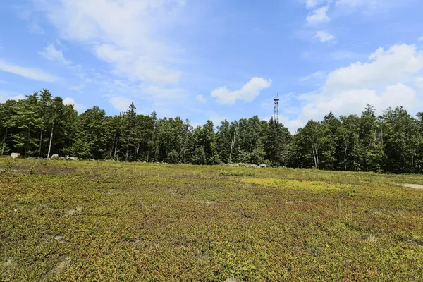 $299,000 | Map13-lot9 Martins Ridge Road, Franklin, ME 04634