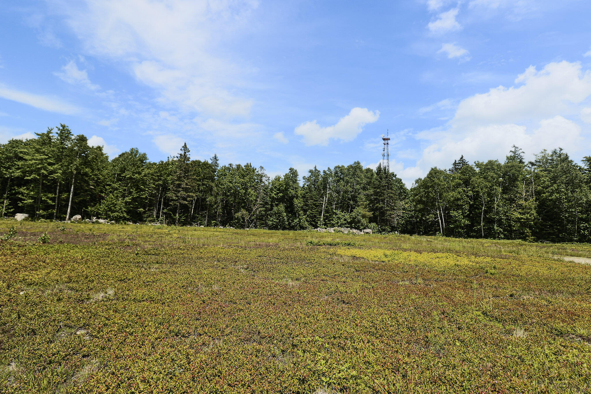 Map13-lot9 Martins Ridge Road Franklin, ME 04634 - Photo 7 of 30 Lot 9