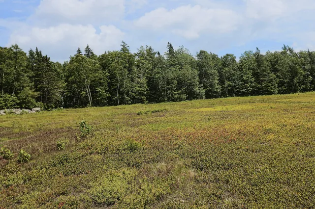 $299,000 | Map13-lot9 Martins Ridge Road, Franklin, ME 04634