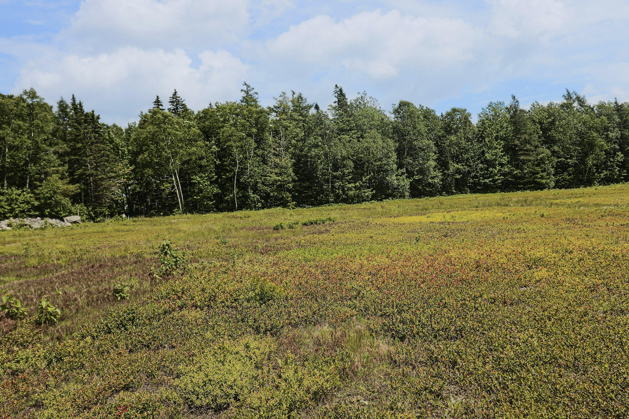 Map13-lot9 Martins Ridge Road Franklin, ME 04634 - Photo 9 of 30 Lot 9