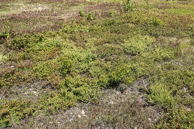 $299,000 | Map13-lot9 Martins Ridge Road, Franklin, ME 04634