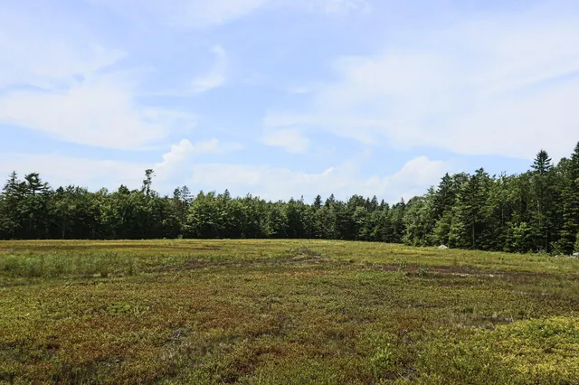 $299,000 | Map13-lot9 Martins Ridge Road, Franklin, ME 04634