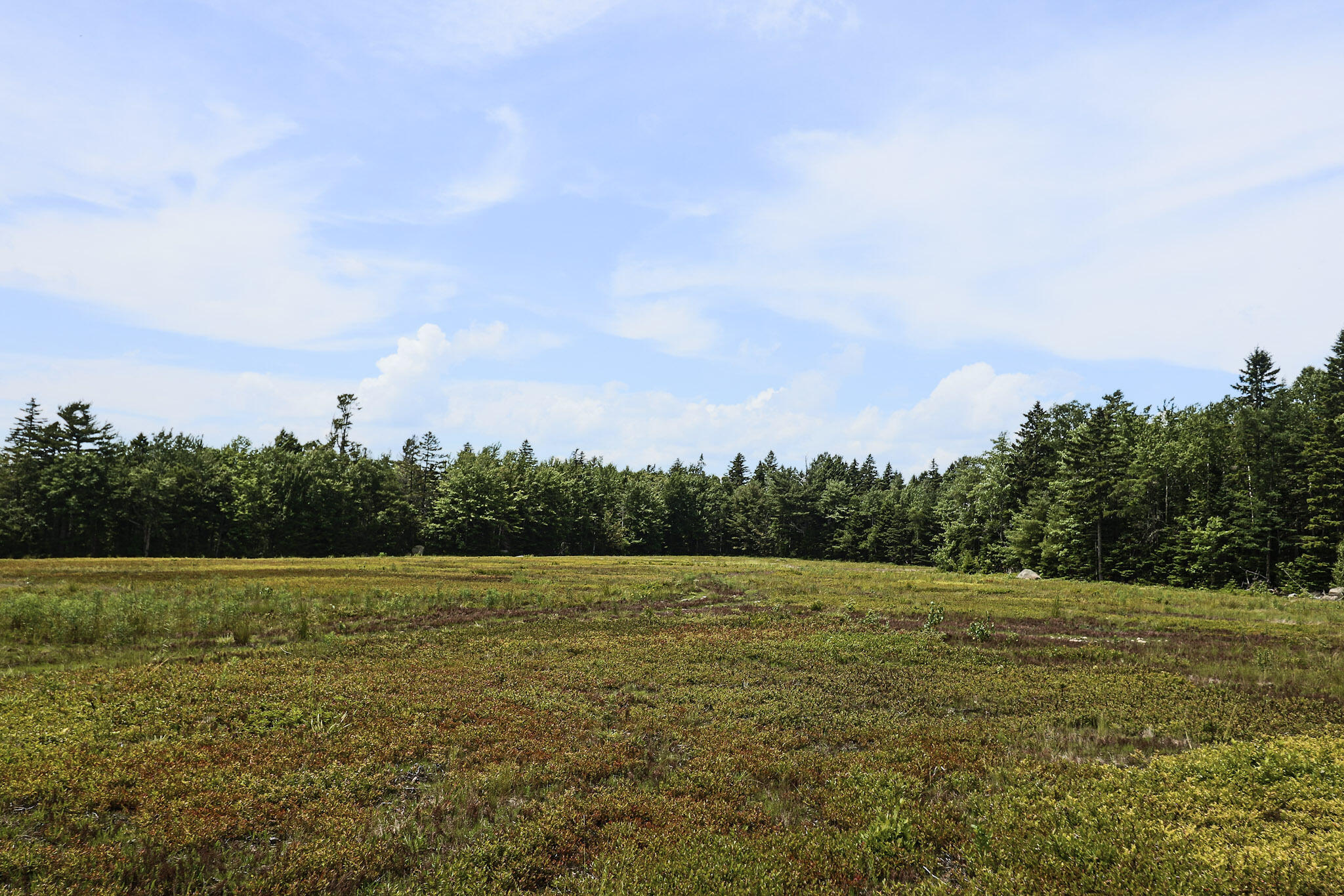 Map13-lot9 Martins Ridge Road Franklin, ME 04634 - Photo 10 of 30 Lot 9