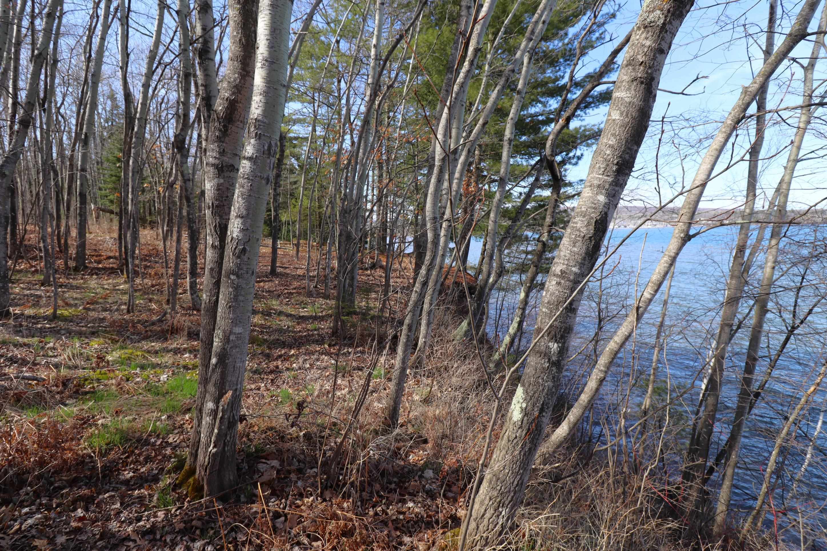 13 State Highway 13 Bayfield, WI 54814 - Photo 11 of 21