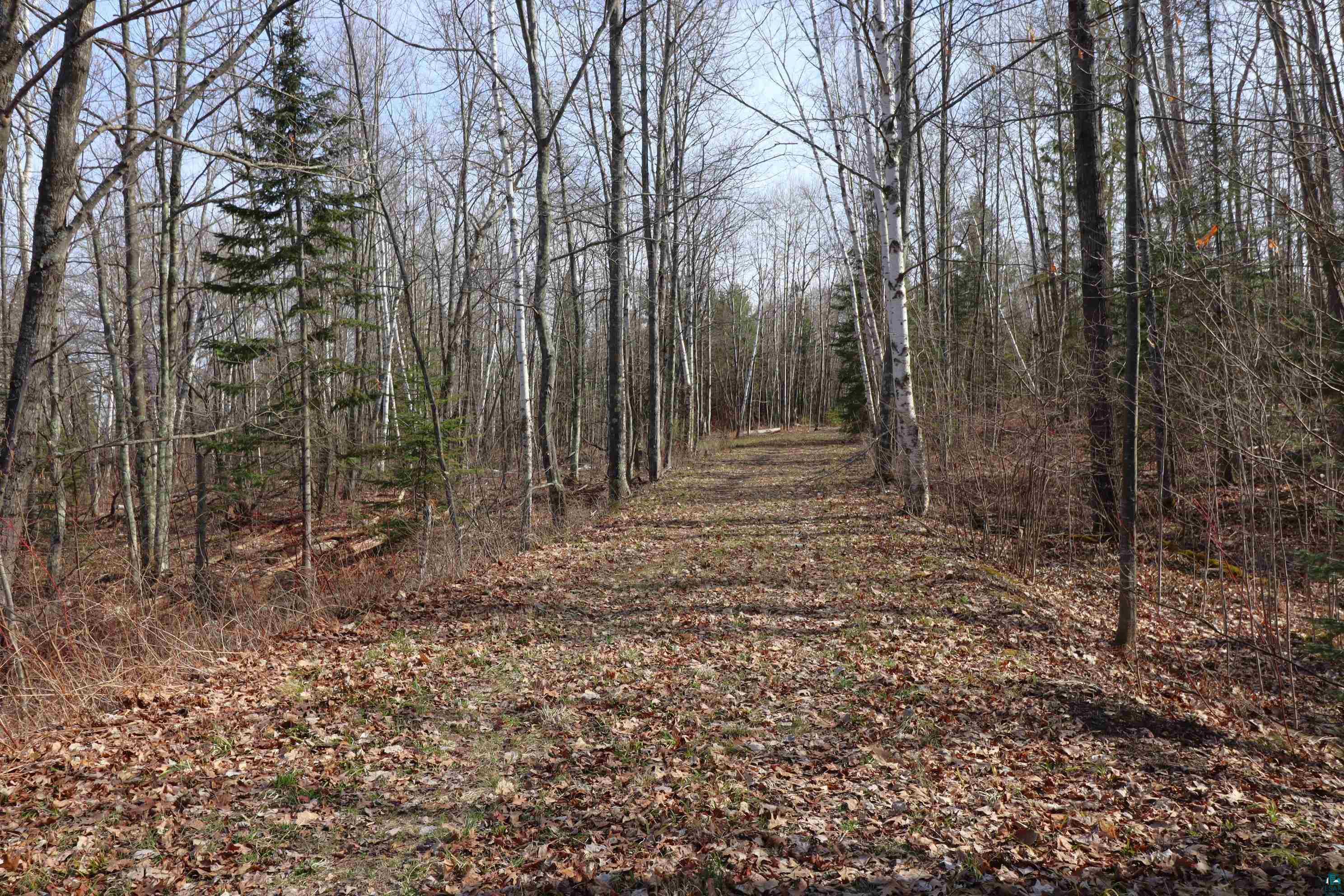13 State Highway 13 Bayfield, WI 54814 - Photo 15 of 21 Access Road