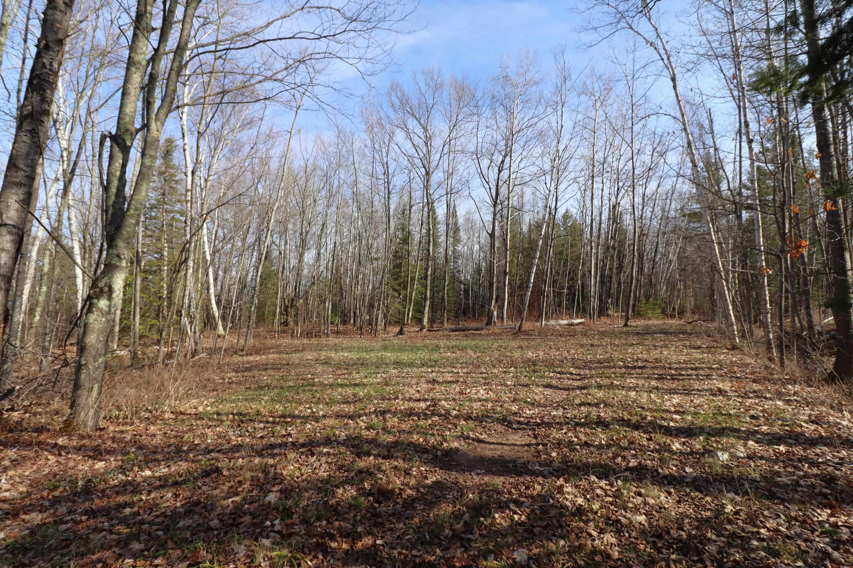 13 State Highway 13 Bayfield, WI 54814 - Photo 17 of 21