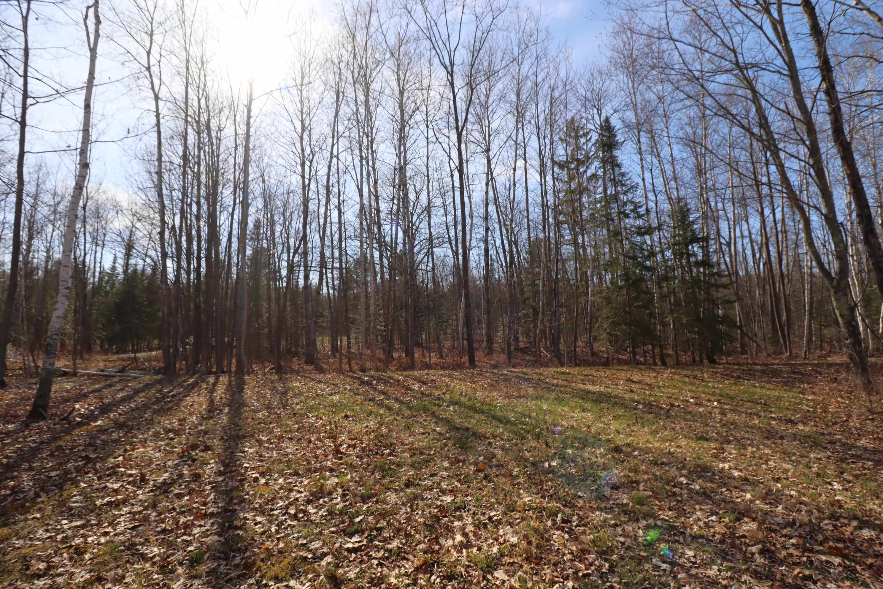 13 State Highway 13 Bayfield, WI 54814 - Photo 20 of 21