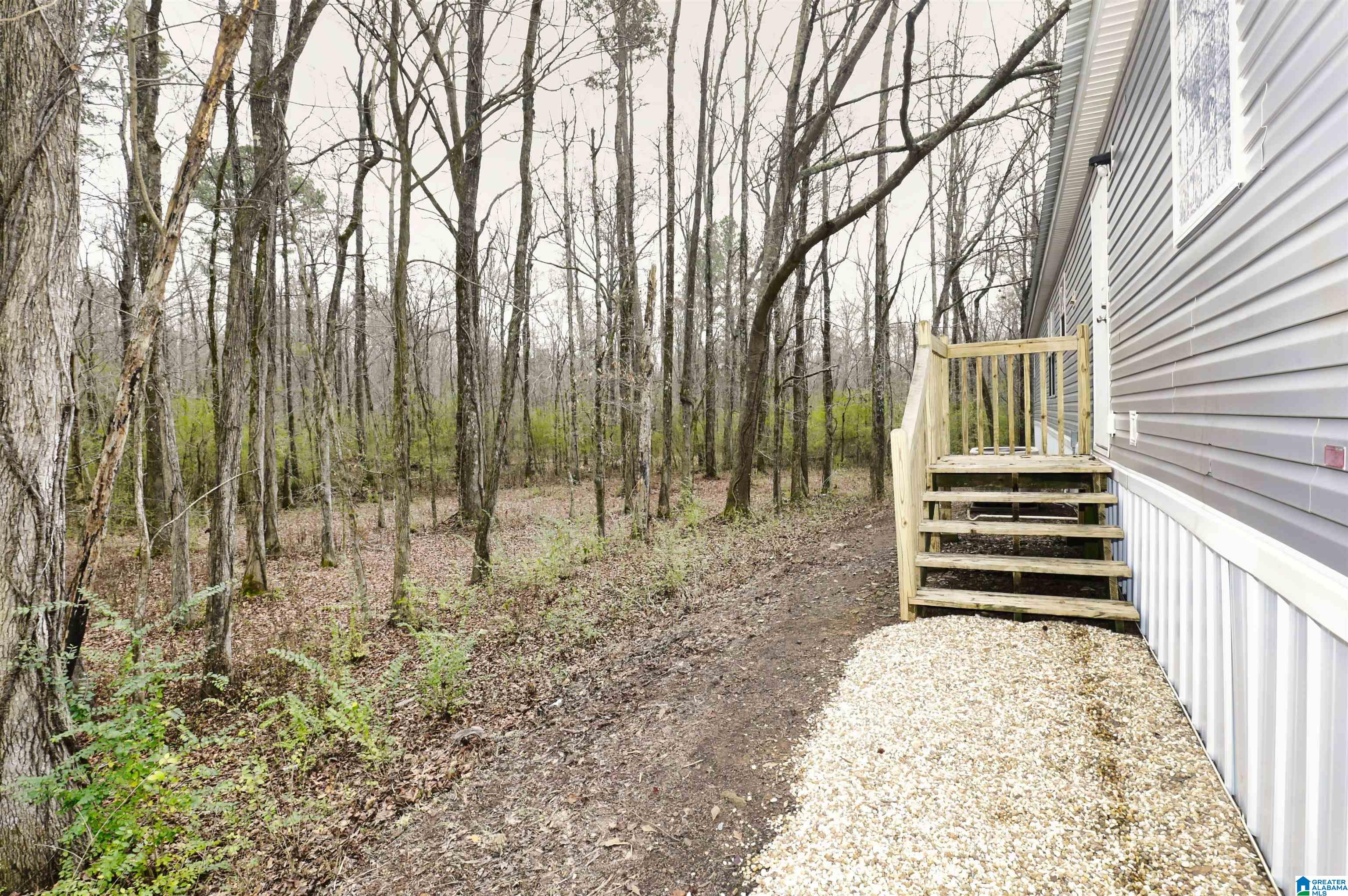 4134 Roy Webb Road Jacksonville, AL 36265 - Photo 33 of 34