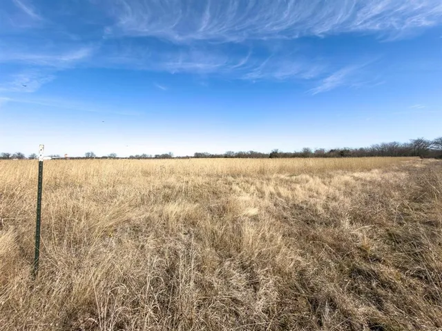 a view of dirt yard and a large tree