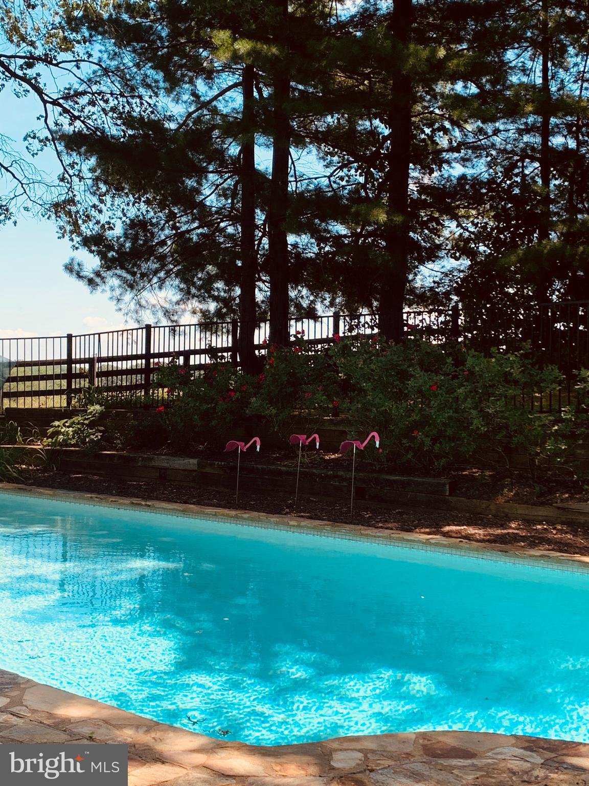 3235 Landmark Road The Plains, VA 20198 - Photo 9 of 101 Gallery Image 9
