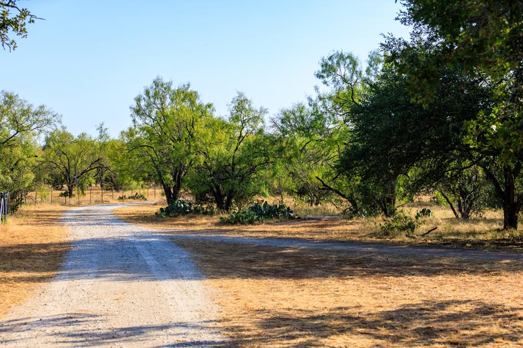 803 Funf Kinder Road Fredericksburg, TX 78624 - Photo 20 of 43 Gallery Image 20