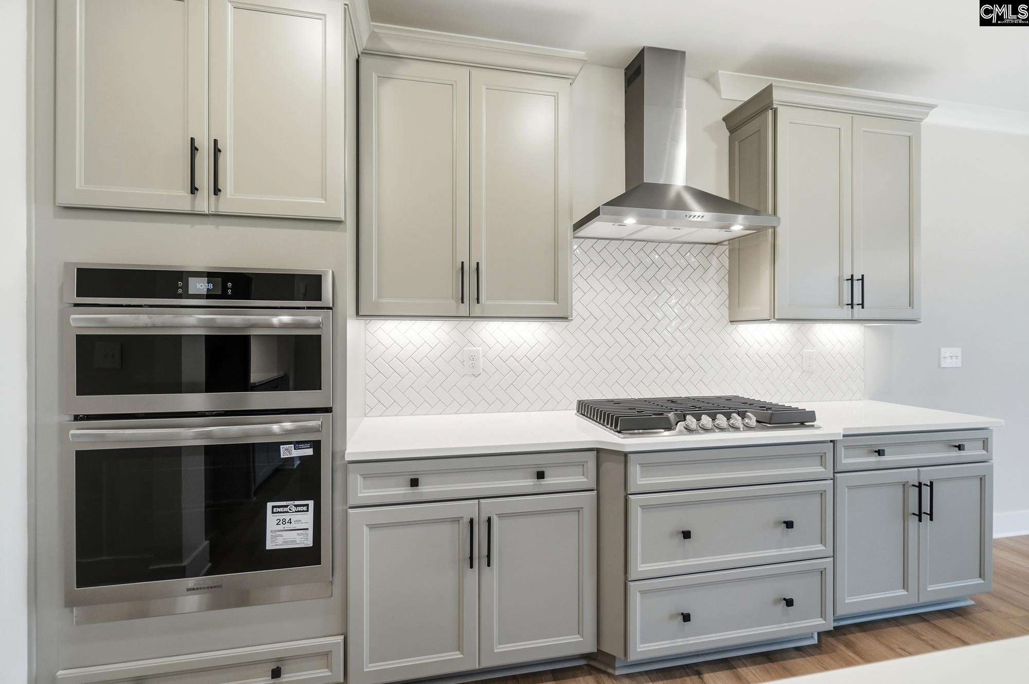 263 Lemon Tree Crossing Elgin, SC 29045 - Photo 5 of 8 Gallery Image 5