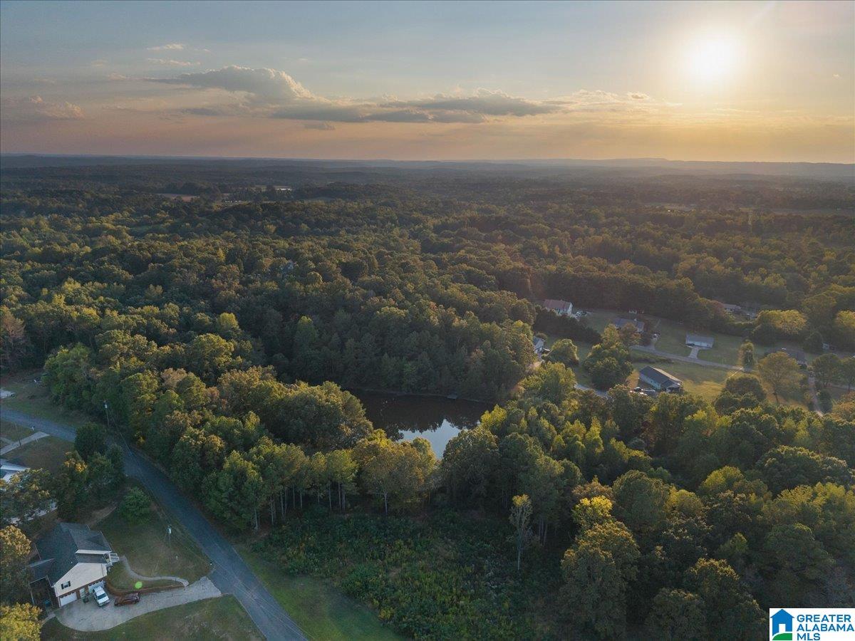 0 Shady Point Road, Unit 18 18 & 19 Locust Fork, AL 35097 - Photo 20 of 26
