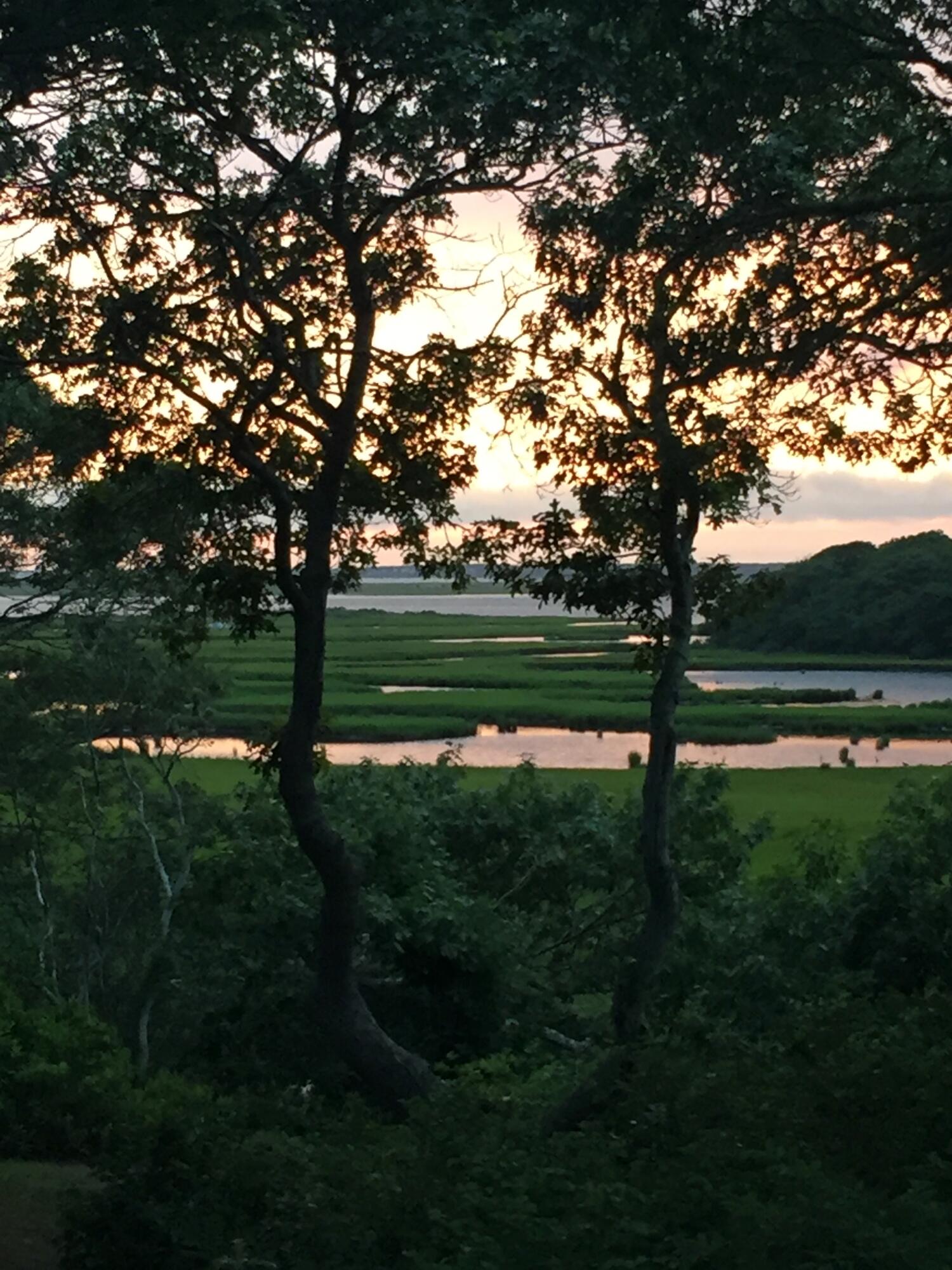 52 Tisquantum Road Chatham, MA 02633 - Photo 2 of 44 Wishbonetree