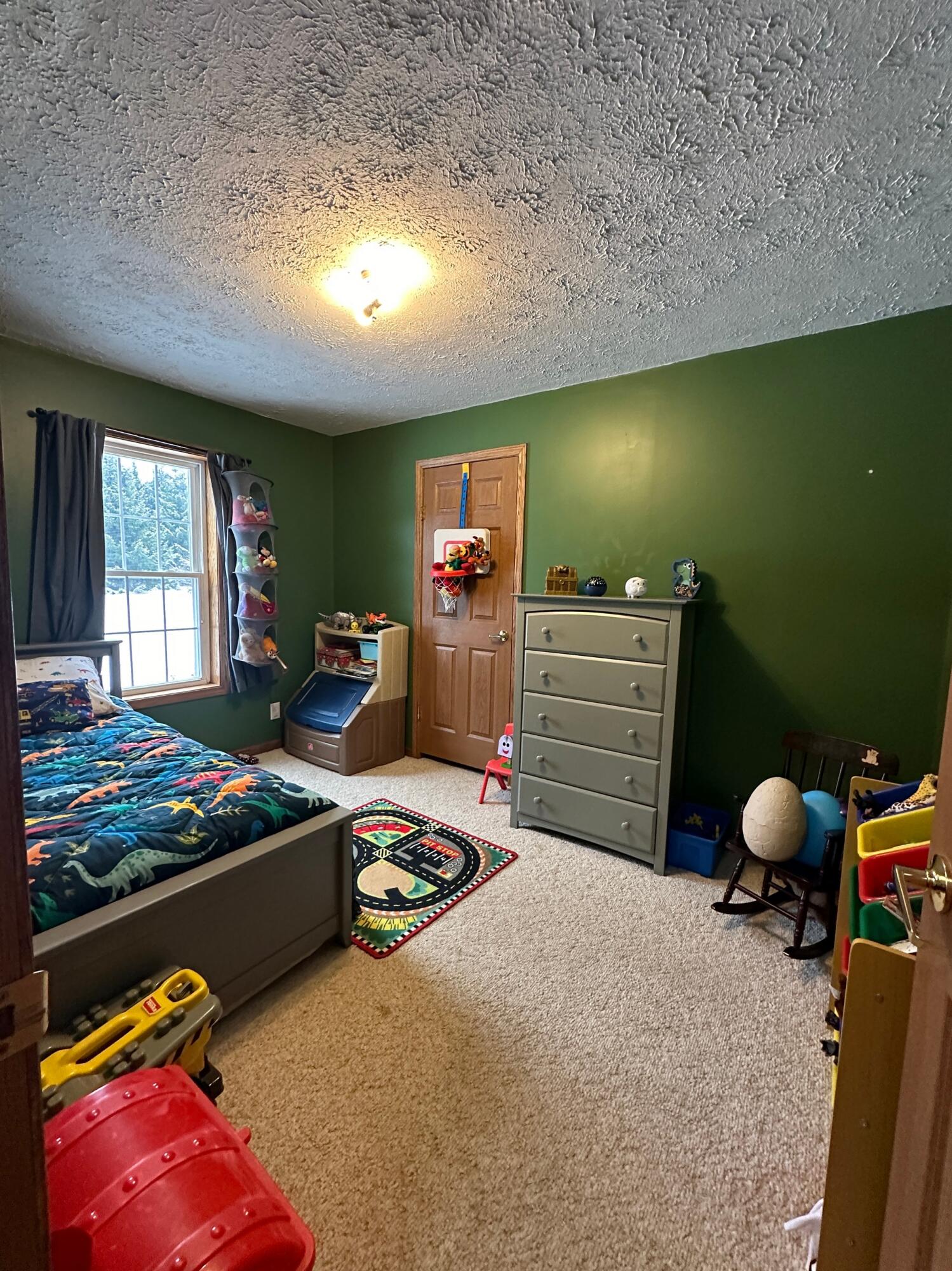 6687 Booty Road Alanson, MI 49706 - Photo 14 of 28 Gallery Image 14