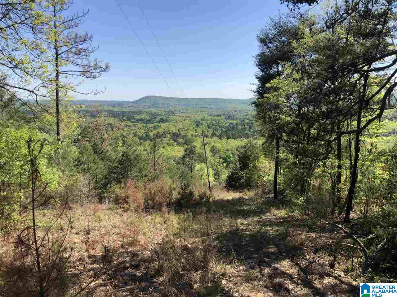 1234 High Road, Unit 1 Columbiana, AL 35051 - Photo 31 of 38