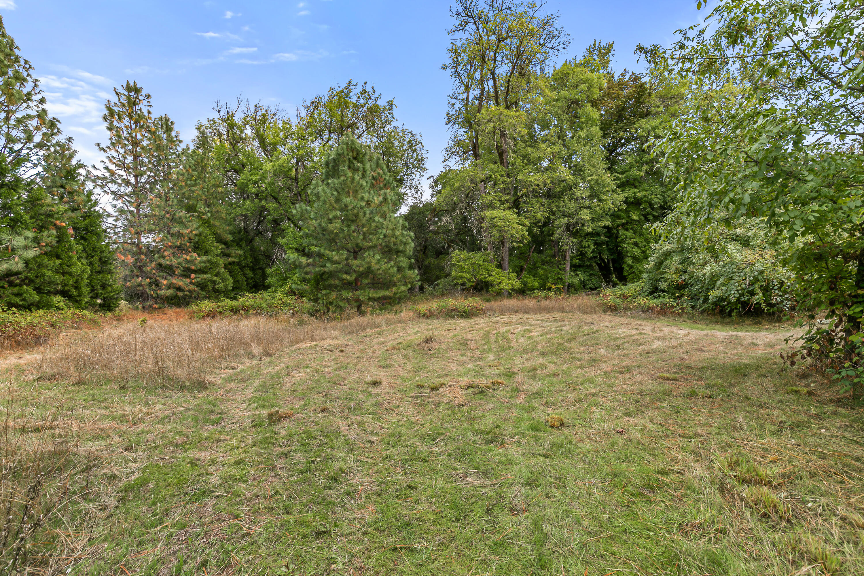 1225 Messinger Road Williams, OR 97544 - Photo 61 of 67 creek meadow