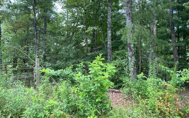 17 Whippoorwill Walk Road Monticello, GA 31064 - Photo 1 of 4 a view of a garden with a house